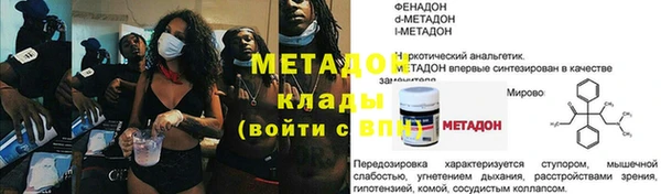 гашик Алексин