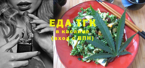 гашик Алексин