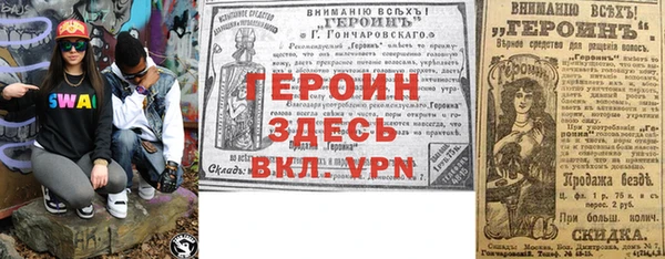 гашик Алексин