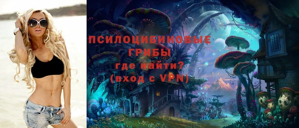 гашик Алексин