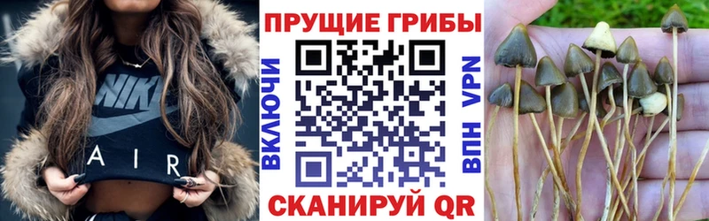 Псилоцибиновые грибы прущие грибы  Спасск-Рязанский 